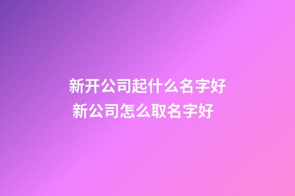 新开公司起什么名字好 新公司怎么取名字好-第1张-公司起名-玄机派
